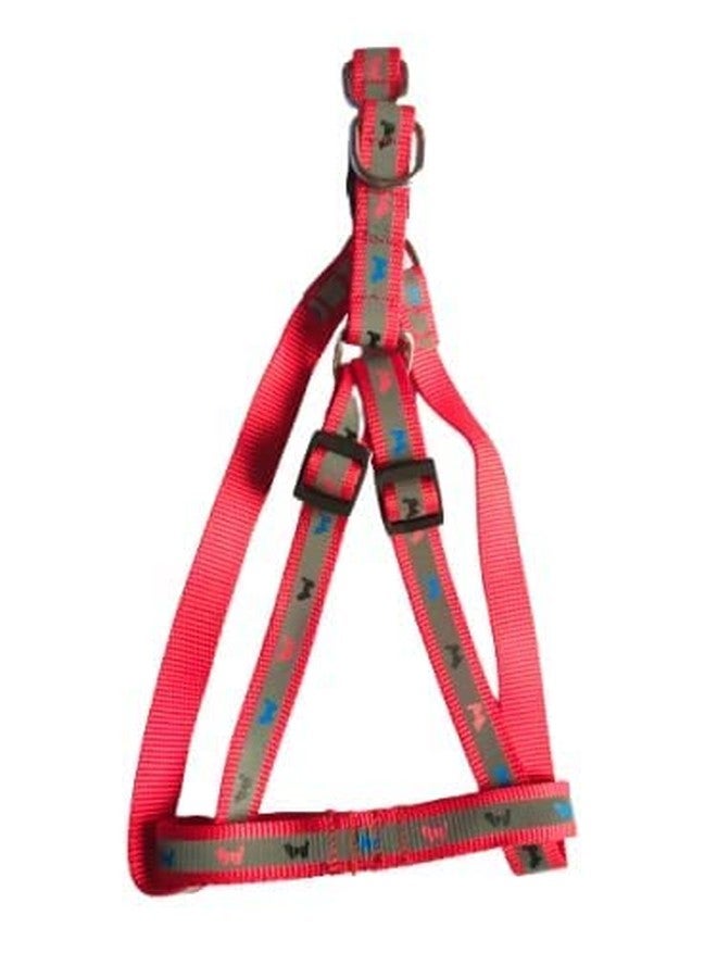 Pups&Pets طقم سرج من النايلون قابل للتعديل من Pups&Pets، مقاس 3/4 بوصة، مزين بطبعة كلب عاكس، مناسب للجراء متوسطة وكبيرة الحجم، 0.75 بوصة 22 مم (أحمر). - Image 3